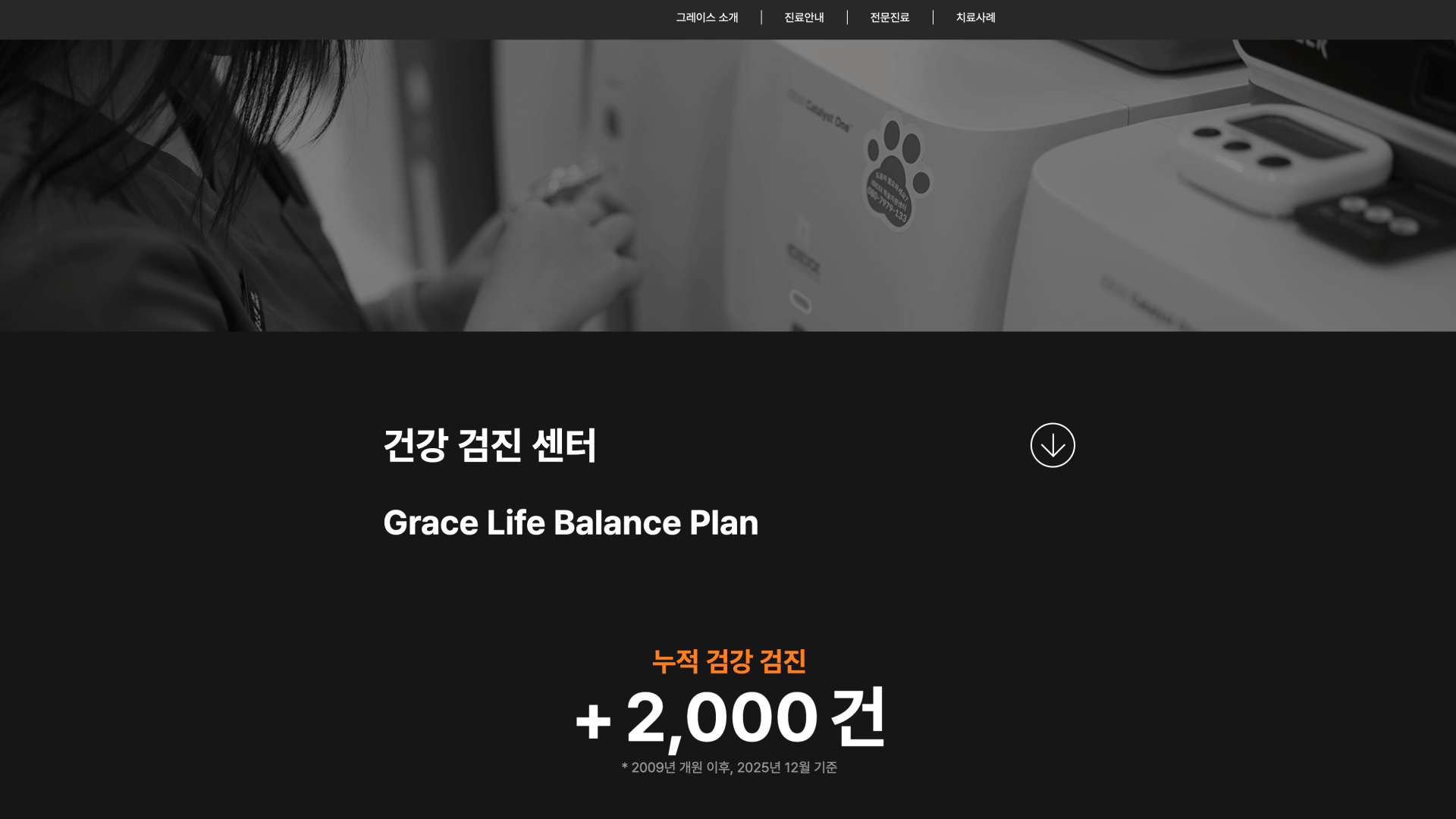 그레이스 고양이 병원